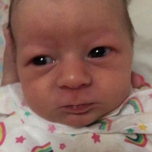 Meet your Posher, Bridget